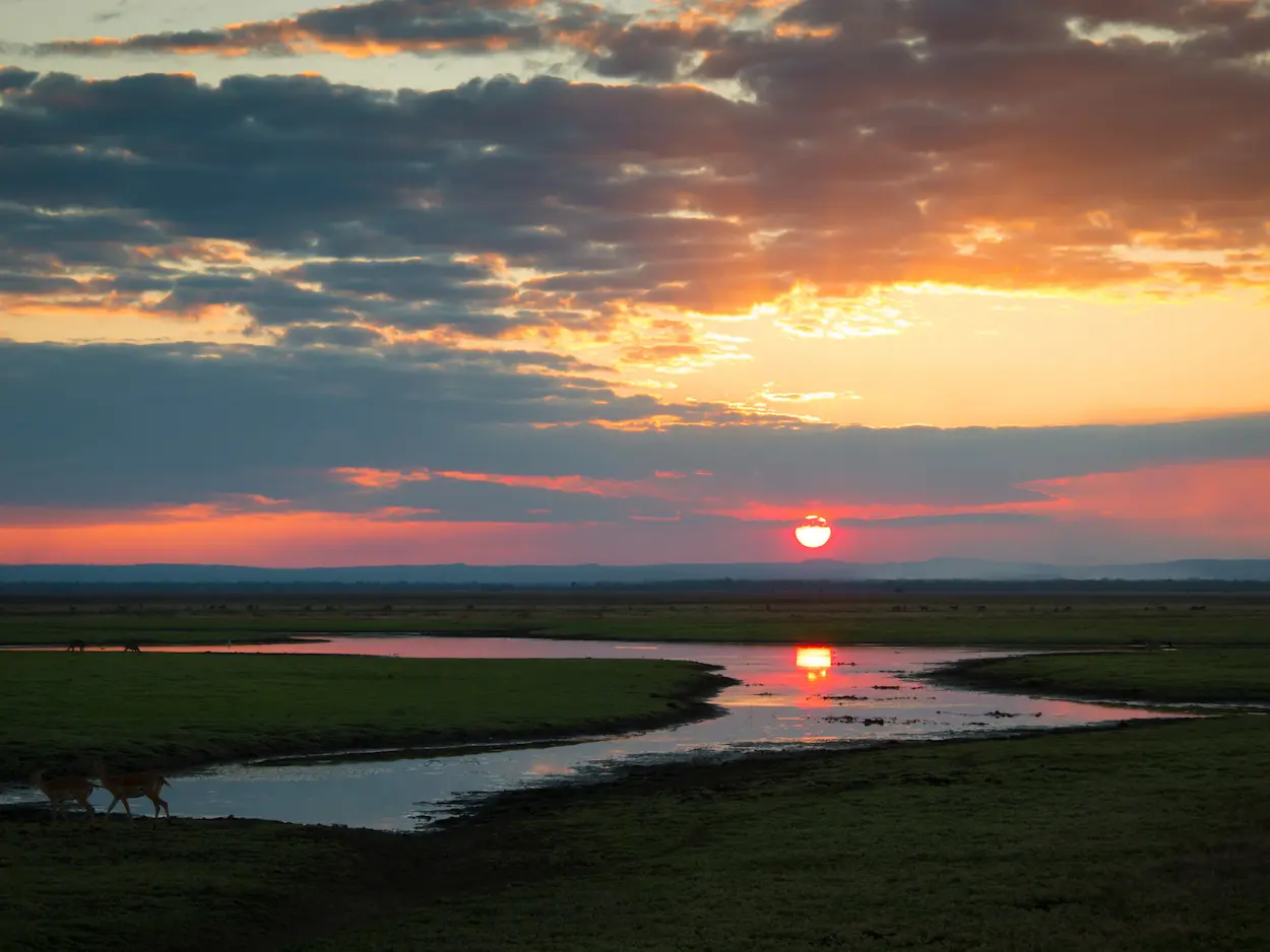 gorongosa-national-park-mozambique-safari-sunset-wilderness