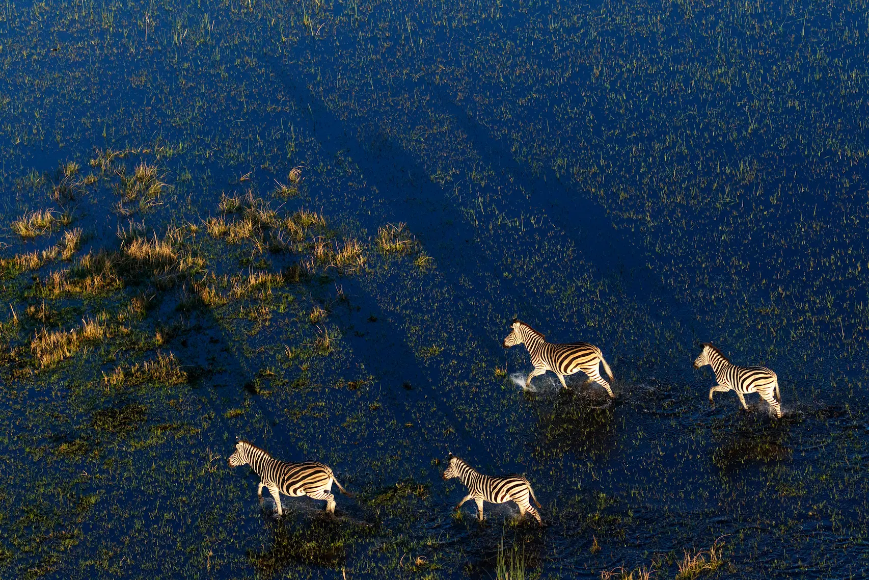 moremi-game-reserve-okavango-delta-luxury-holiday