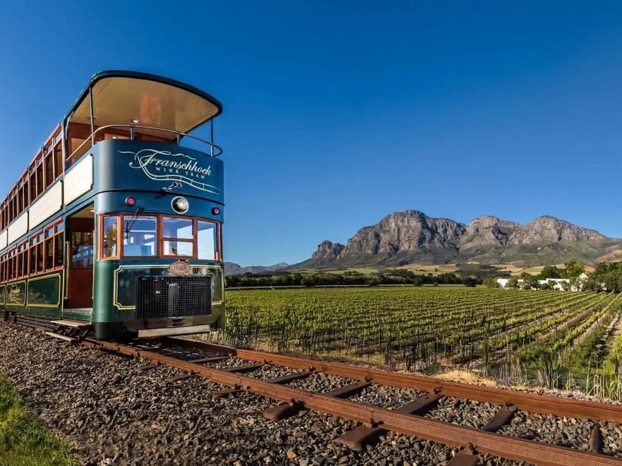 south-africa-cape-town-winelands-winetram-wine-tasting